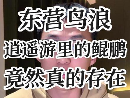 东营数十万候鸟再现《逍遥游》鲲鹏奇观,生态修复铸就鸟类天堂,古人的自然智慧与当代发展共振生辉。#科普#鸟浪 #自然景观 #东营