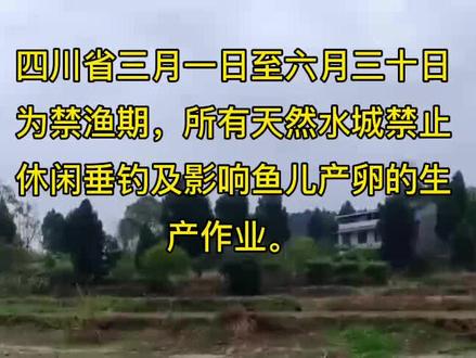 #钓鱼人 @抖音小助手