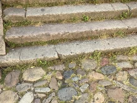 #剑来#骊珠洞天 小镇3000万拆迁款,我齐静春一人贪之。