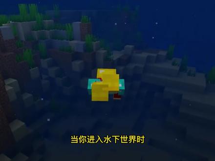 我的世界:海龟鳞片被做成海龟帽,海龟:你对我礼貌吗 #我的世界 #沙盒