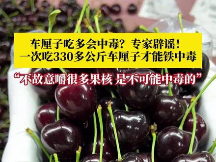 车厘子吃多了会中毒?专家辟谣!一次吃330多公斤车厘子才能铁中毒!“只要不去咬破果核,故意去嚼、故意嚼很多的话是不可能中毒的。”吃多少车厘子合适?建议普通人一天摄入车厘子为100~150克,大约10~15颗车厘子。#车厘子 #车厘子自由