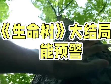 #《生命树》大结局高能预警