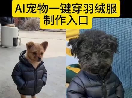 狗穿羽绒服特效教程一键免费制作入口 #即梦ai#穿羽绒服的泰迪 泰迪羽绒服 土狗萌照 狗狗衣服制作教程 狗狗特效狗衣服 天冷了你要记得穿羽绒服 萌宠萌宝 AI萌宠入冬穿搭挑战 #小狗羽绒服 我家的毛孩子 天冷了给家里小动物穿件羽绒服 雪纳瑞穿衣服效果好 毛孩子衣服 这才是大孩子该穿的毛绒外套 宠物羽绒服成爆款 #萌宠一键穿羽绒服教程 #狗狗羽绒服 泰迪衣服网红新款 萌宠一键穿羽绒服