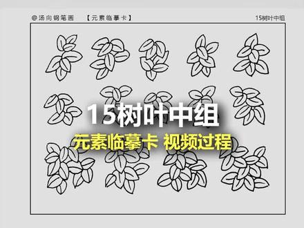树叶组合技巧 画树叶不能孤立一片片画,要一组一组的画,小组合成中组再合成大组。#钢笔画 #线描风景 #钢笔速写 #汤向钢笔画