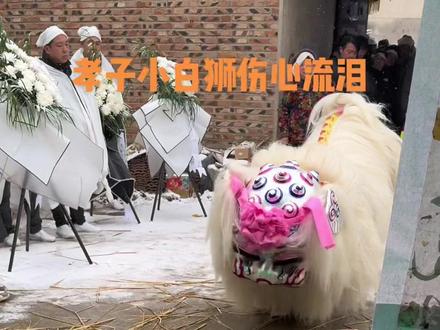 孝子小白狮伤心流泪 江苏徐州演出小白狮祭奠老人24拜#让老祖宗留下的东西继续发挥作用 #狮人最高礼仪 #台上一分钟台下十年功 #非遗抖起来 #民俗文化传播