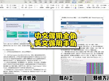中文用全角,英文用半角 #初稿 #格式排版 #paperxie #大四 #应届毕业生