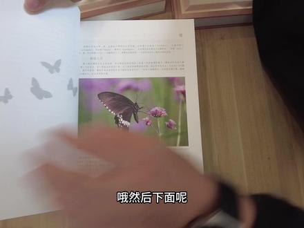 中国蝴蝶图鉴,开箱视频,分享快乐!#开箱 #蝴蝶 #科普 #石域科学