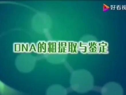 选修①DNA的粗提取实验