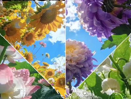 线性蒙版切屏卡点教程来了,再也不用说眼会手废了#剪辑教程 #切屏卡点 #教你制作技巧 #教程