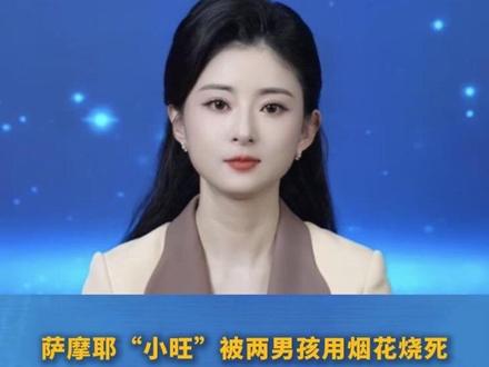 萨摩耶“小旺”被两男孩用烟花烧死,狗主人最新发文:双方已和解