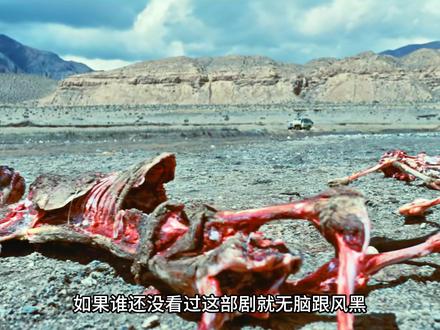 如果谁再说《生命树》不好看,我第一个不答应,耶稣也拉不住! #生命树#生命树好嗑又共情#胡歌#杨紫#剧情