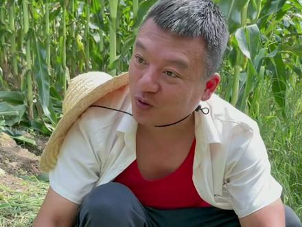 谁吃过苞米甜杆还有地头烤苞米的举手#八十年代#怀旧#童年回忆 #玉米地 #烤苞米