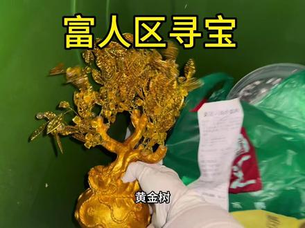 520收获满满 盘点富人区垃圾桶能捡到什么东西?#vlog日常 #寻宝