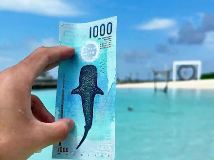 世界货币大揭秘:哪种最值钱?祝大家第五种货币多到花不完! #科普 #涨知识 #货币 #暴富