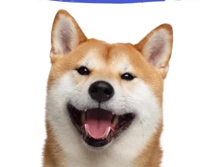 狂犬病发作就会学狗叫? #萌宠 #人人都是知识分享官