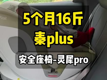 5个月 16斤 比亚迪秦plus 安全座椅