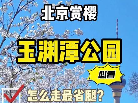 听劝!玉渊潭赏樱走错门,排队两小时起! #北京旅游攻略 #玉渊潭樱花 #赏樱 #春季赏花好去处