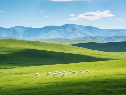 皇爷盖章了,还盖在了大腿根上#再世权臣 #再世权臣广播剧 #苏宴 #再世权臣皇帝 #盖章