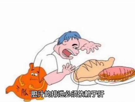 胆的功能与作用
#分享健康知识 #健康养生
#知识分享 #养生就是养健康
#增强抵抗力提高免疫力