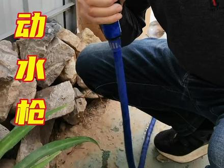 不动剪刀动水枪#爱生活爱养花 #养花小知识 #盆景素材 #室内绿植 #爱生活爱养花