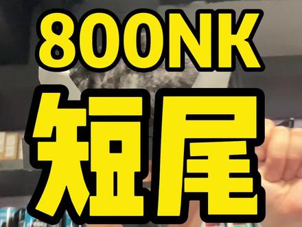 小短尾,大改变
#摩托车 #机车 #cfmoto #800nk
#改装