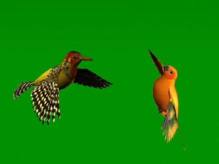 全网独一无二的绿幕贴纸制作素材,谁会用拿去!😀