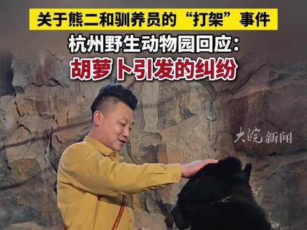 #关于熊二和驯养员的“打架”事件杭州野生动物园回应:胡萝卜引发的纠纷 #杭州野生动物园 #熊二 #黑熊 #媒体精选计划
大皖新闻讯 12月6日,杭州野生动物园,有网友反映黑熊在表演现场突然袭击饲养员,其他工作人员见状,立刻用工具合力将黑熊分开,
幸好人没事。
12月6日晚,杭州野生动物园短视频平台发布熊二的驯养员回应:熊二平时性格就比较贪吃,这次的主要原因是我随身带了一大袋它爱吃的胡萝卜和苹果,被它看到后急着想吃一时兴奋就直接扑了上来。
对于由此引发的影响,我感到非常抱歉,也感谢大家的关心。请大家放心,我没有受伤,熊二也没有受伤。
这件事也提醒我,今后与熊二相处时要更加注意,再次感谢大家的关心和理解。 大皖新闻记者:薛重廉