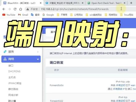 【教程】端口映射,小白看了都会用 #openwrt插件 #openwrt #端口映射 #防火墙