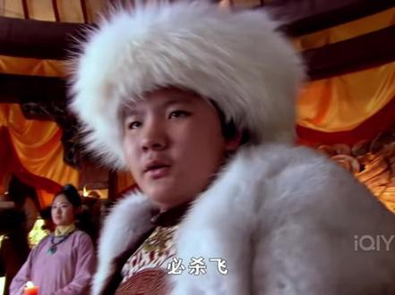 完颜亶的:必杀飞,始可合,流传至今#完颜亶 #金熙宗 #历史