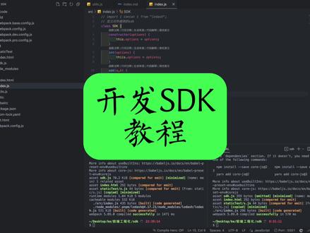 如何开发一个sdk?关键的技术点,最佳的方案#代码 #程序员 #前端 #编程 #软件开发