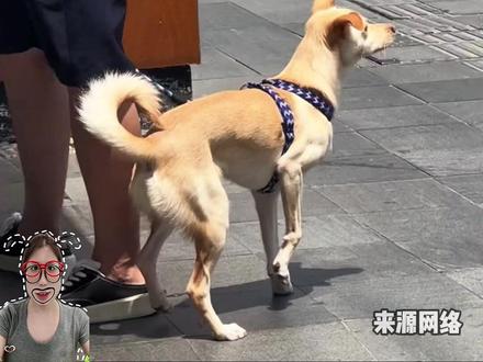 这几个步骤,千万不能忘! #热点#涨知识#夏天#空调#内容启发搜索