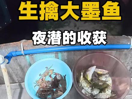 今晚意外收获大墨鱼,收获满满#自由潜渔猎#我的乡村生活 #记录真实赶海 #创作者中心 #创作灵感