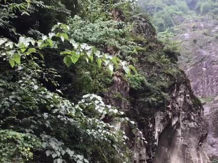 此景就是银厂沟地震时两座山合并之处😯😯