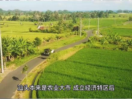 汕头经历了什么?从经济特区发展成经济特困区 #汕头 #经济特区 #城市发展