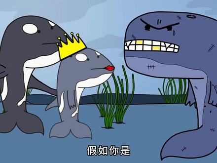 假如你是虎鲸... #动物科普 #虎鲸