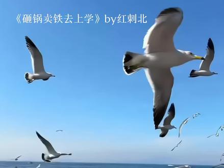 我真的要被这段笑死了#砸锅卖铁去上学 #霍宣山