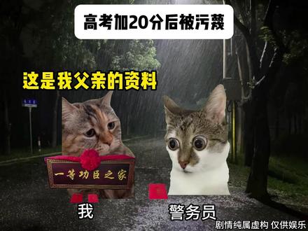 高考加20分被污蔑后续#猫meme#猫meme推文#推文#后续