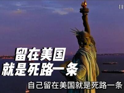 甜甜圈要是现在跳反爱国赛道的话,还来得及吗? #甜甜圈 #科普 #润人 #冷知识