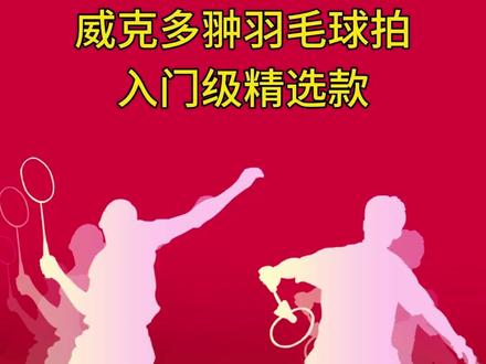 威克多翀羽毛球拍 入门级精选款。#威克多 #羽毛球 #羽毛球拍 #入门 #感谢抖音我要上热门