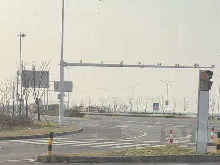 我会永远记得小灰宝 #鹦鹉