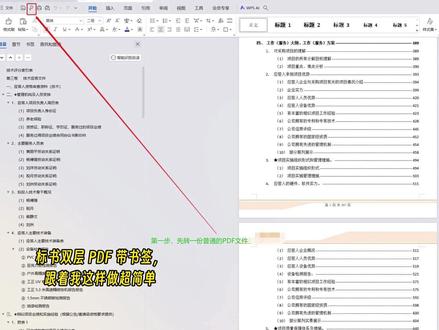 WPS 标书双层 PDF,这样做超简单! #标书 #标书制作 #标书知识分享