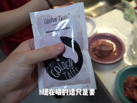 猫咪的年夜饭 #春节vlog