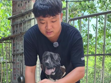 给棕熊洗一个澡