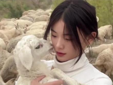 嘎羊少女称遭家暴,800万粉丝账号“被夺”,当地妇联:已关注。#妇联回应网红灰太狼的羊被家暴 #灰太狼的羊 #嘎羊少女 #热门 @抖音小助手 @抖音热点宝 @抖音创作者中心
