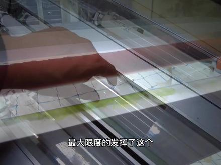 也好,给灯盘做做卫生也好#养鱼日记