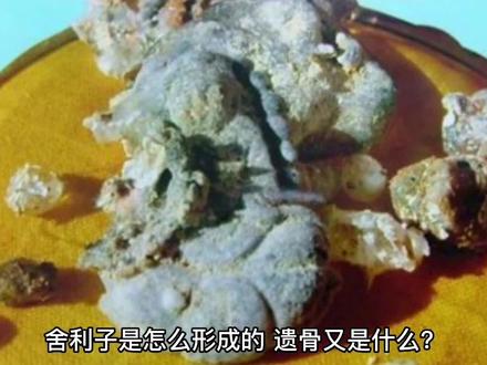 舍利子是怎么形成的,遗骨又是什么? #科普一下 #探秘 #奇闻异事