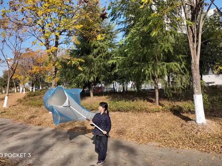 塑料袋diy 《会飞的鲸鱼》🐳
和我一起捕捉风吧 🪁
#塑料袋diy #塑料袋风筝