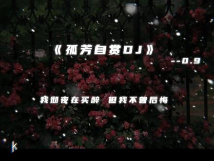 这孤独的滋味我慢慢的体会.
#dj降调