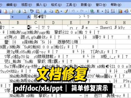 损坏的PDF/DOCX/PPTX/XLSX等文档,也是可以修复的
我们经常会遇到,重要的文档打不开了提示文件损坏,或者数据恢复软件从储存设备里恢复出来的文档是损坏的无法打开,文档里面都是重要信息和心血,就这么放弃了吗?其实这种损坏的文档是有机会修复的,从winhex打开损坏的文档,可以看到字节,就说明底层是有数据的,针对性的修复之后,就可以查看里面信息了。PDF\DOC\DOCX\PPT\PPTX\XLS\XLSX等等文档,都可以修复,除了文档可以修复之外,视频、图片其实也是可以修复的。#文档乱码修复 #办公文档修复 #excel文件损坏 #文件损坏 #word文档损坏 #表格文档损坏修复 #pdf打不开 #word打不开 #excel文件打不开 #数据恢复 @DOU+小助手