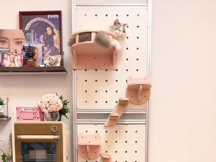 不伤墙!不占地!不到1平米搞定人猫共用角! #租房改造 #猫爬架diy #人猫共用 #养猫用品推荐 #小户型